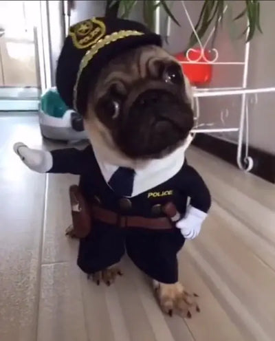 GruselHund™ Unwiderstehliches Haustierkostüm