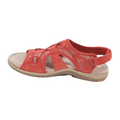 Rot