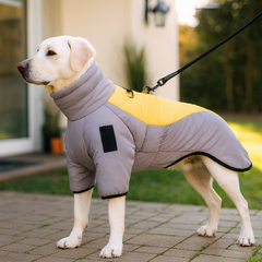 PawEase – Hundejacke mit verstellbarer Passform und integriertem Geschirr in Grau Gelb