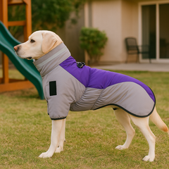 PawEase – Hundejacke mit verstellbarer Passform und integriertem Geschirr in Grau Violett