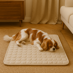 Innovative Kühlmatte für Hunde (4-fache Kühlleistung) – ChillComfort in Beige/Braun