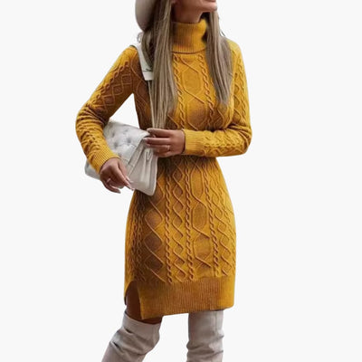 Damen kleid mit Rollkragen und Zopfmuster