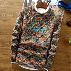 Herren Grobstrickpullover | mit Strickmuster und langen Ärmeln in Mehrfarbig
