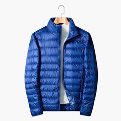 Herren Steppjacke mit Stehkragen in Blau