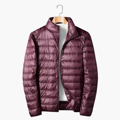 Herren Steppjacke mit Stehkragen in Magenta