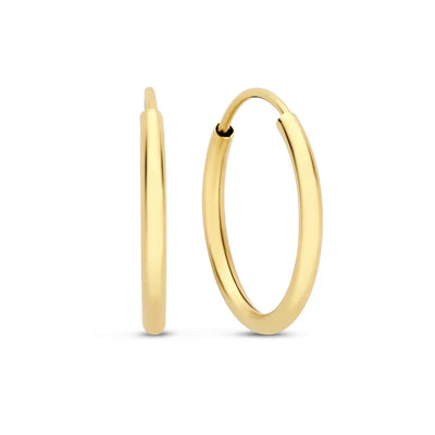 Noémie Sorel Gold Earrings