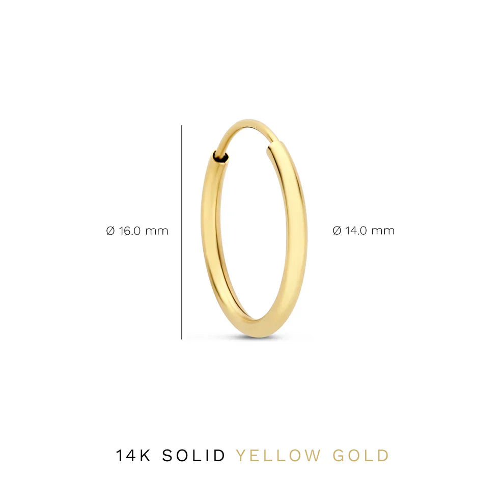 Noémie Sorel Gold Earrings