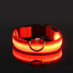 Hundehalsband aus Nylon mit LED-Beleuchtung für mehr Sicherheit bei Nacht, leuchtet im Dunkeln in Rot