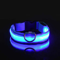 Hundehalsband aus Nylon mit LED-Beleuchtung für mehr Sicherheit bei Nacht, leuchtet im Dunkeln in Blau