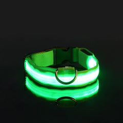 Hundehalsband aus Nylon mit LED-Beleuchtung für mehr Sicherheit bei Nacht, leuchtet im Dunkeln in Grün