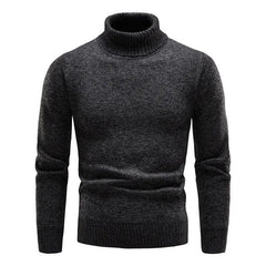 Henri - Schicker Rollkragenpullover in Schwarz